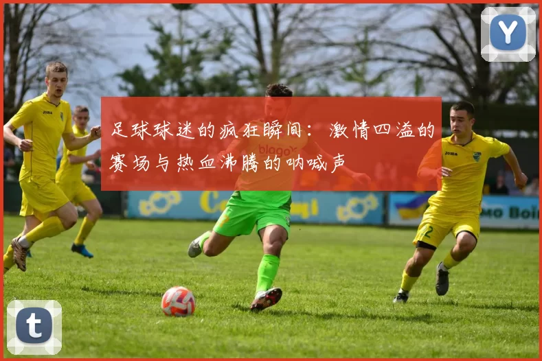 足球球迷的疯狂瞬间：激情四溢的赛场与热血沸腾的呐喊声