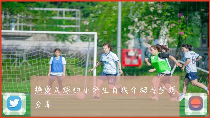 热爱足球的小学生自我介绍与梦想分享
