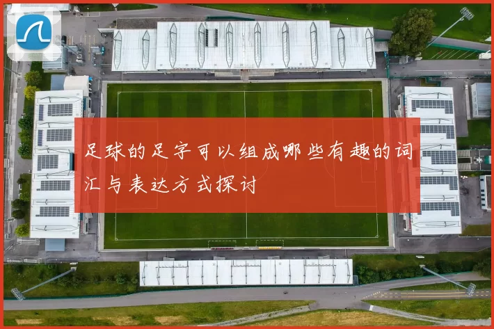 足球的足字可以组成哪些有趣的词汇与表达方式探讨