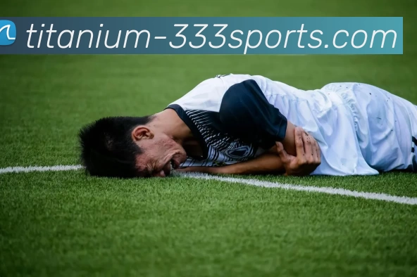 333体育发展历程